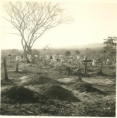 /album/las-caras-de-siloe-/cementerio-de-siloe-1953-png/